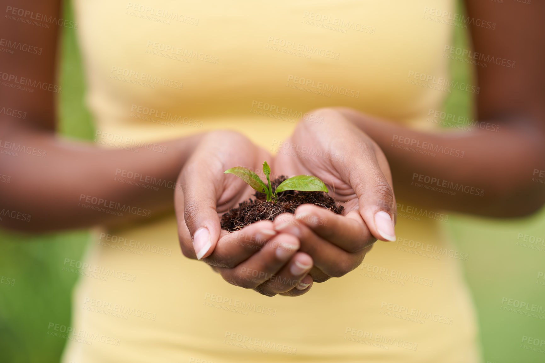 Buy stock photo Soil in hands of woman, leaves and ecology with growth of environment, nature and sustainability with life. Seedling, development and eco friendly, hope and new beginning or start with agriculture