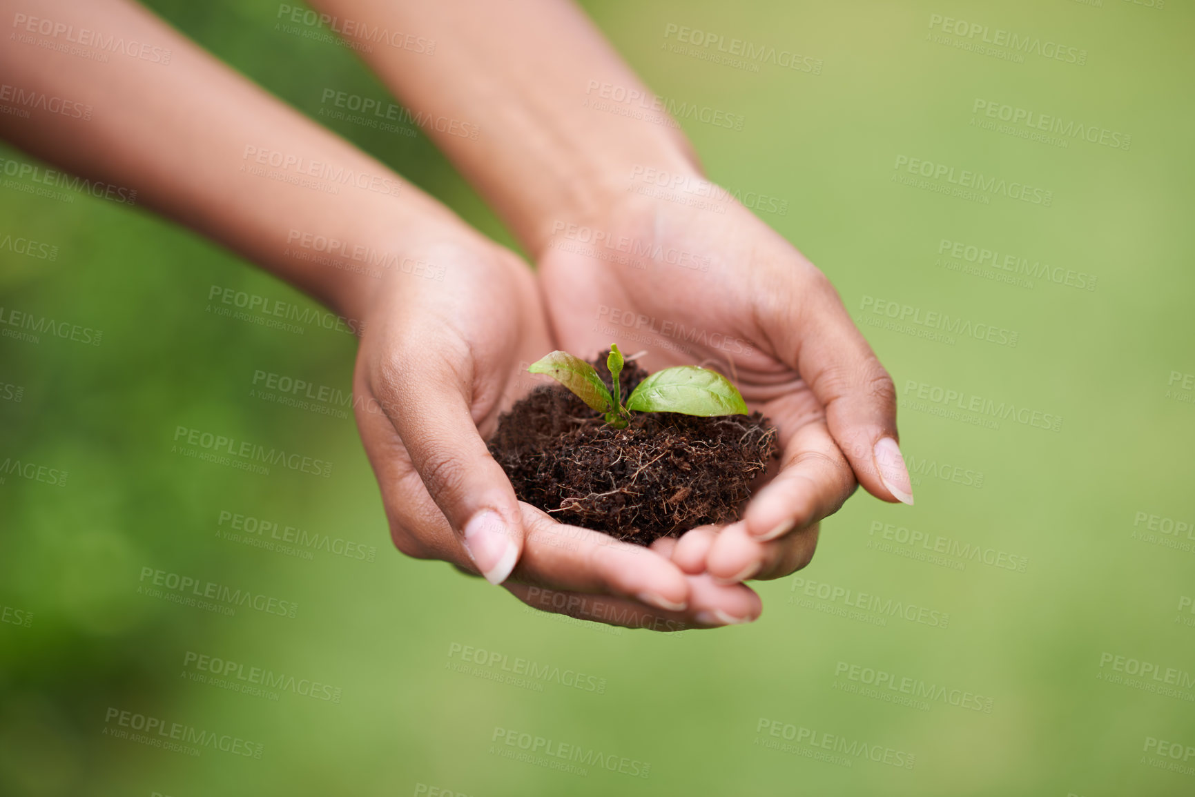 Buy stock photo Soil in hands of woman, plant and ecology with growth of environment, nature and sustainability with life. Leaves, development and eco friendly, hope and new beginning or start with agriculture