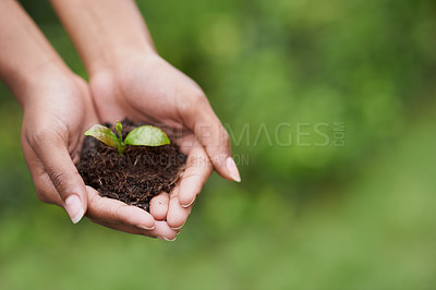Buy stock photo Closeup shot of a woman's hands holding a growing plant