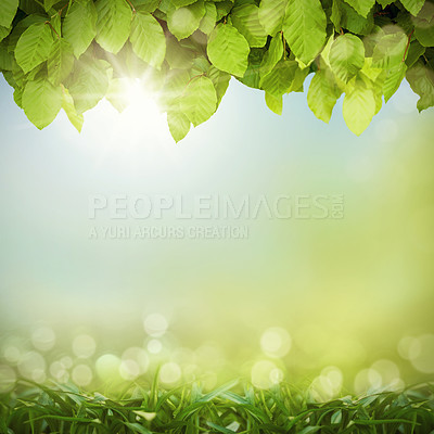 Buy stock photo Bokeh, leaves and plants in nature with grass, mockup space or sustainability. Natural, green or leaf in spring for ecology, environment or eco friendly growth in garden with sunshine on a background