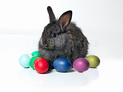 Buy stock photo Easter, color eggs and bunny in studio on table for celebration, fun or paint on candy. Culture, tradition and rabbit with chocolate, sweets or hunt on Good Friday, festive event or Christian holiday