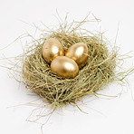 Make sure to save today for a golden nest egg