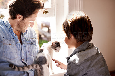 Buy stock photo Pet, cat or father with child in home, house or apartment together for support, care or love by window. England, brush or dad bonding with kid, boy or kitten on a family vacation, holiday or relax