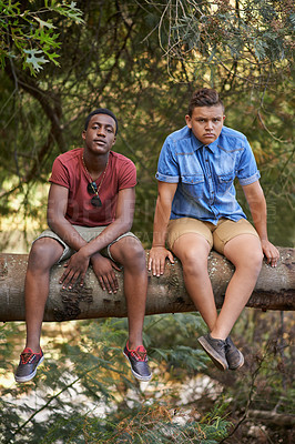 Buy stock photo Boys, portrait and sit in forest on log to explore wilderness, outdoor and activities on summer camp. Diversity, teenager and friends together to relax or climb on tree trunk in nature for adventure