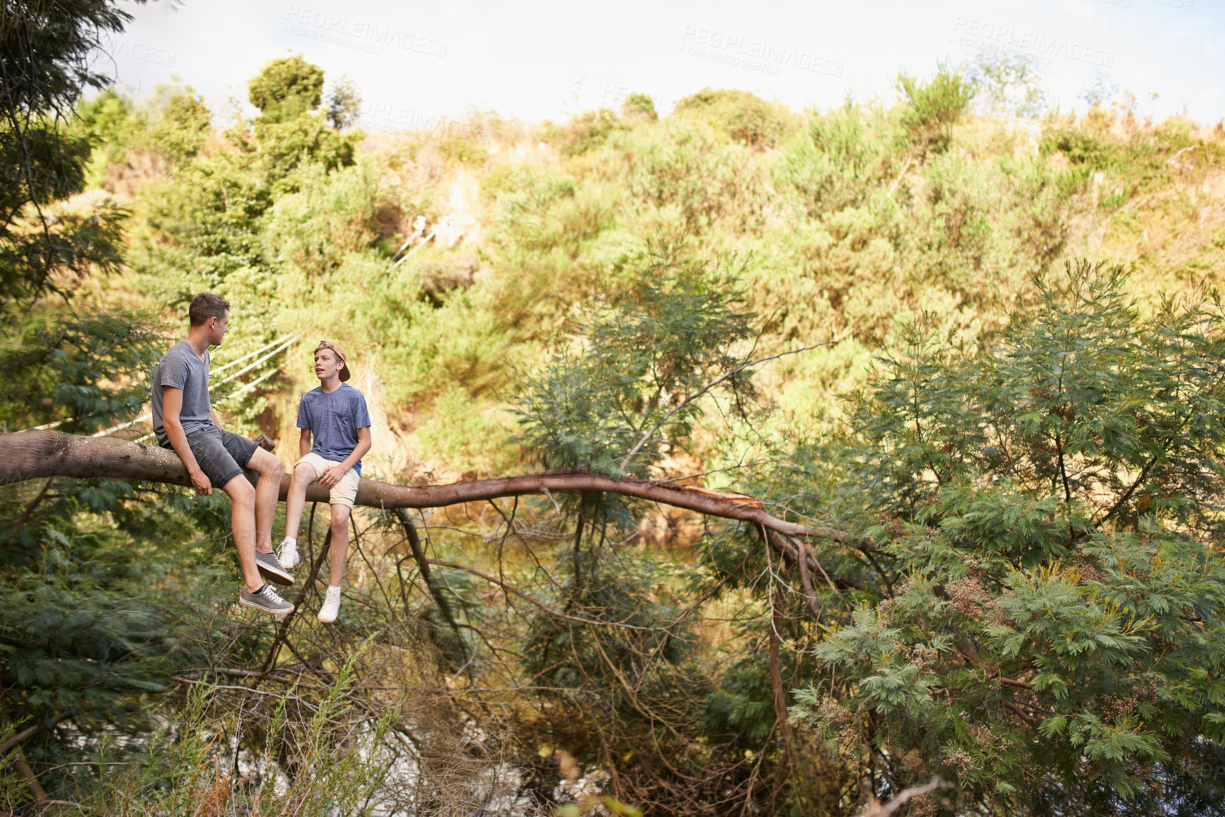 Buy stock photo Tree branch, relax and friends in nature with chat, fun or bonding with forest view, vacation or summer break. Trunk, teens or boys hanging out in park for holiday, reunion or fresh air outdoor