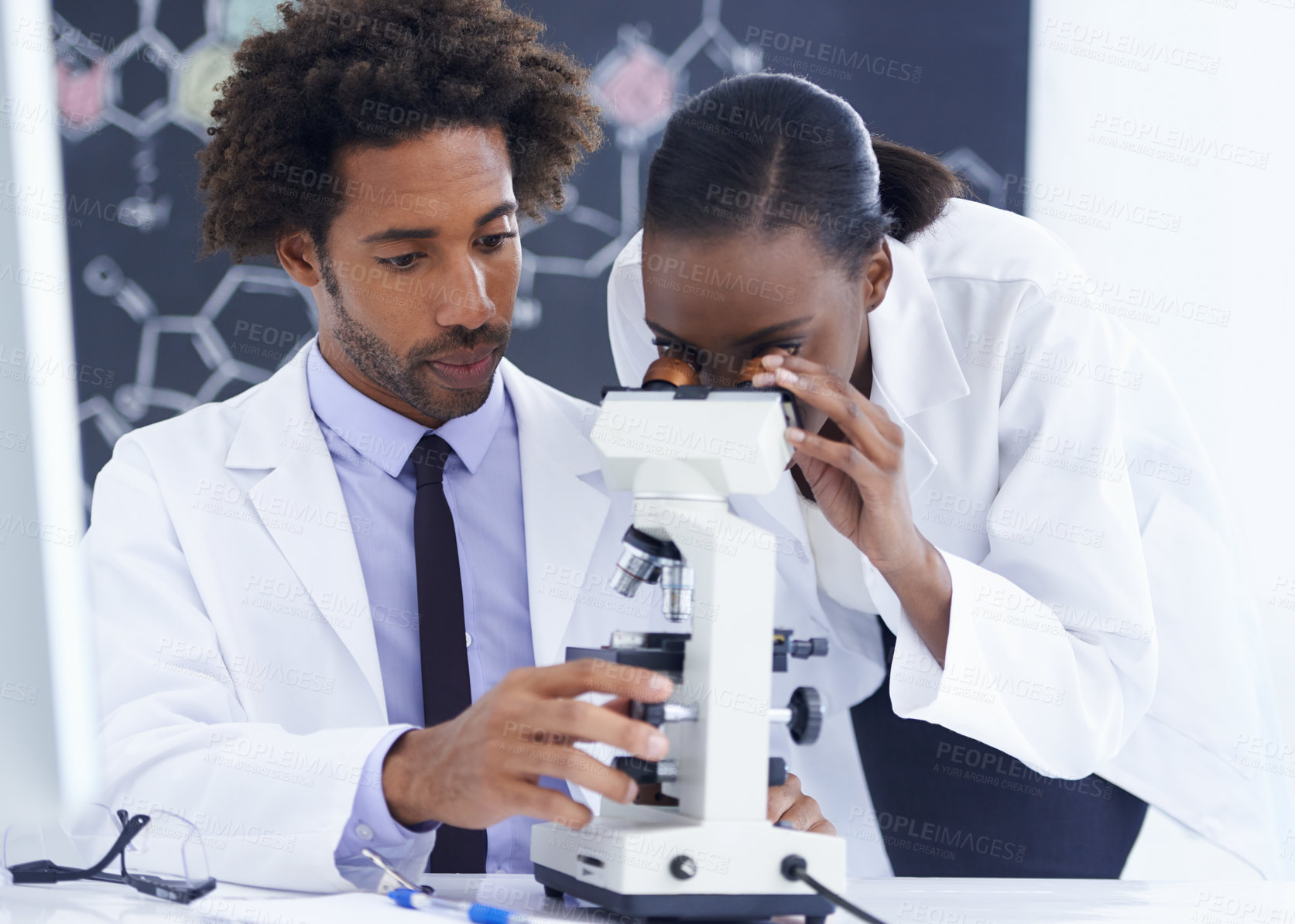 Buy stock photo Shot of a female biologist examining something under a microscope with her colleague