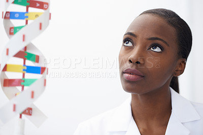 Buy stock photo Shot of an attractive female biologist looking at a DNA model