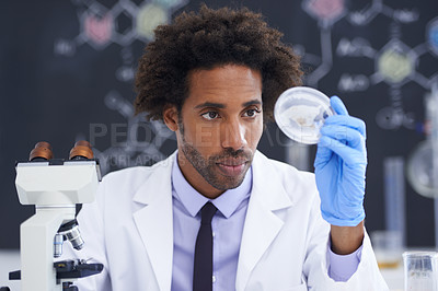 Buy stock photo Science, microscope and man with sample in glass for test, medical research for chemistry results with lab technician. Biotech, laboratory and scientist with dish for analysis, investigation or exam