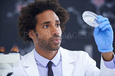 Buy stock photo Science, microscope and man with sample in dish for test, medical research for chemistry results with lab technician. Biotech, laboratory and scientist with glass for analysis, investigation or exam