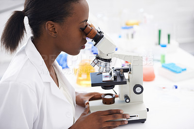 Buy stock photo Research, microscope or woman scientist in office for medical, experiment or inspection. Science, healthcare or African health expert with virus study, testing or dna analysis for lab investigation