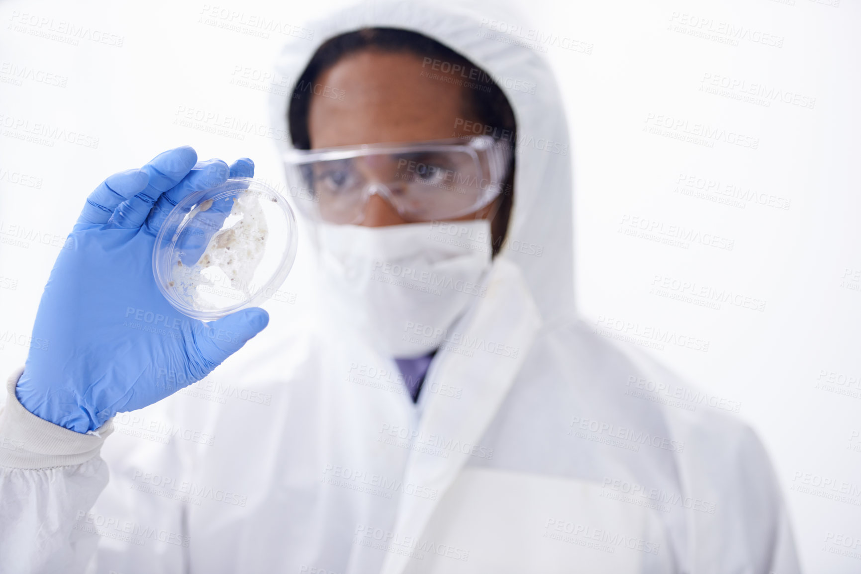 Buy stock photo Scientist, man and virus in petri dish for science experiment with medical research and doctor in PPE on white background. Healthcare innovation, testing bacteria for vaccine and scientific study