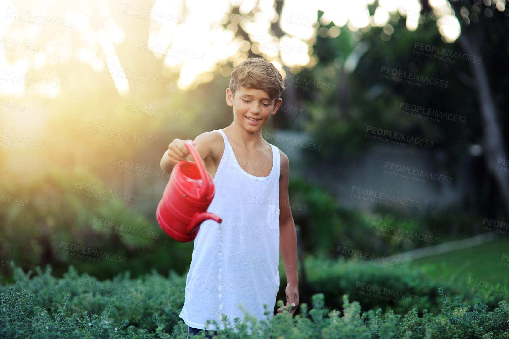 Buy stock photo Cropped shot of a young boy watering plants in a garden