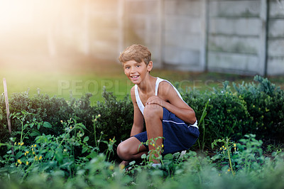 Buy stock photo Portrait of a young boy gardening outside