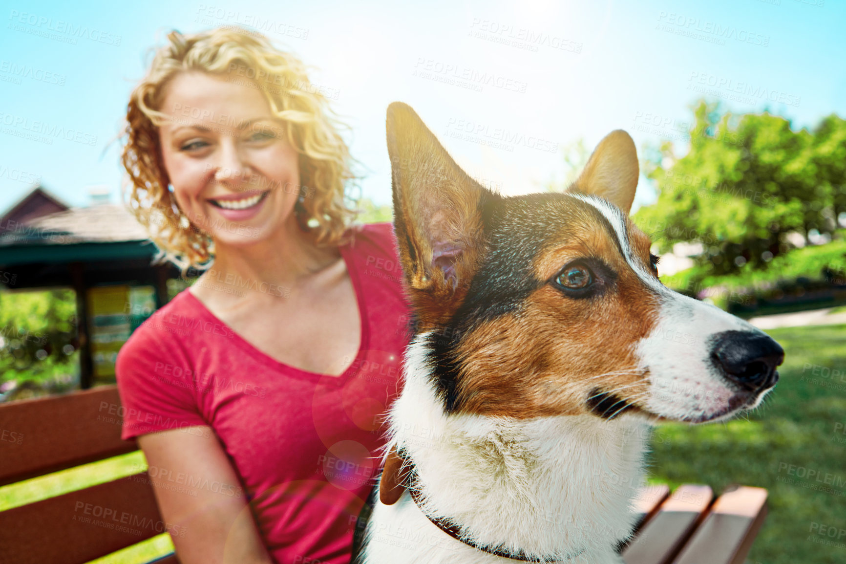 Buy stock photo Shot of a young woman bonding with her dog in the park