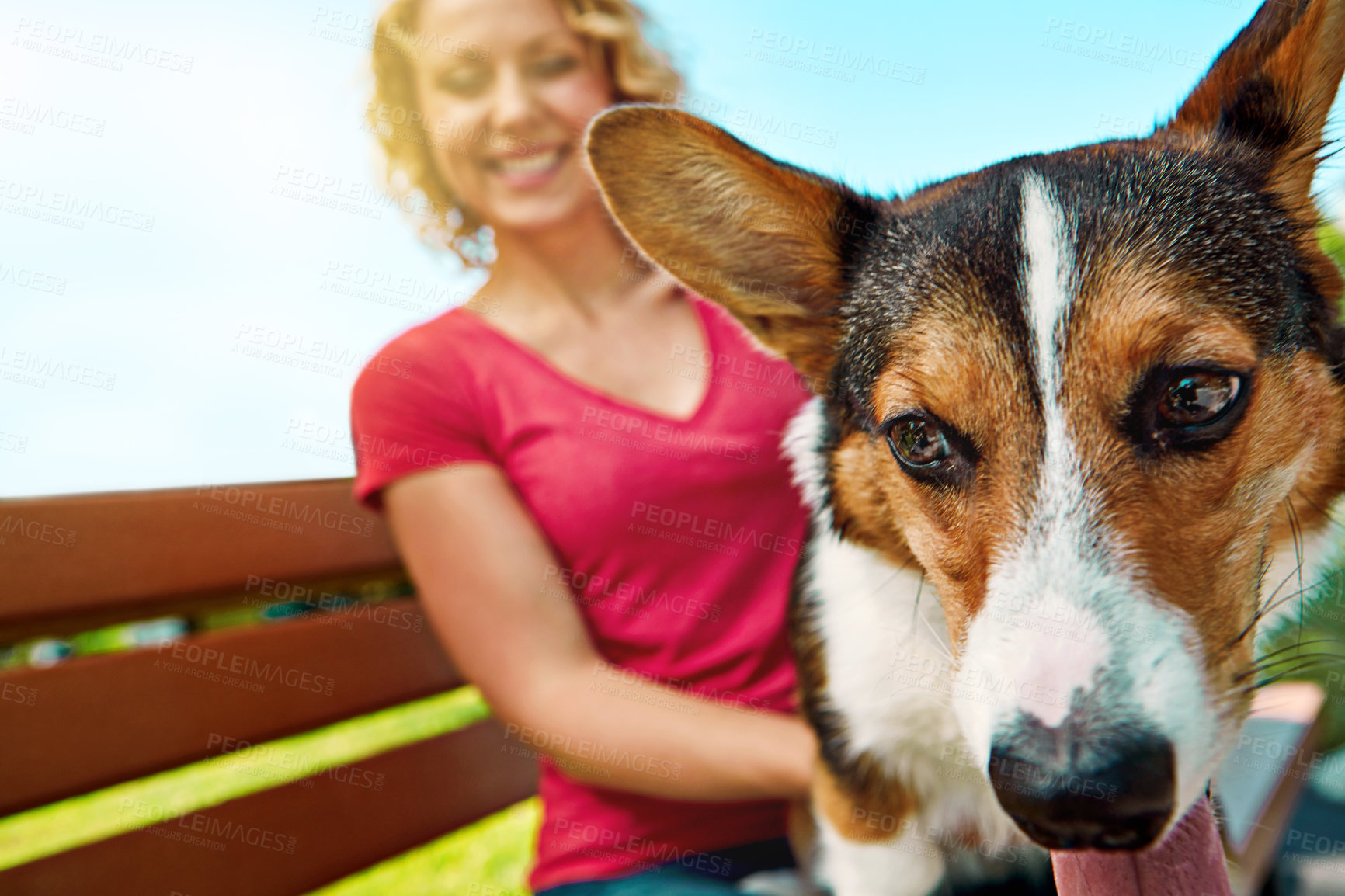 Buy stock photo Shot of a young woman bonding with her dog in the park