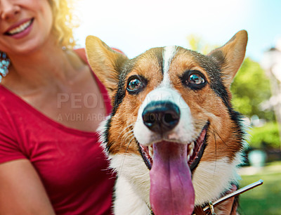 Buy stock photo Shot of a young woman bonding with her dog in the park