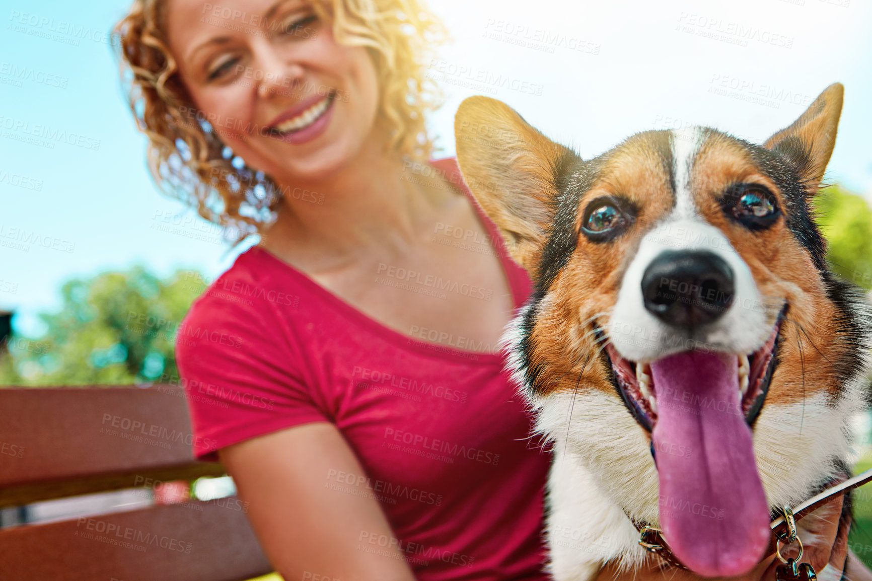 Buy stock photo Shot of a young woman bonding with her dog in the park