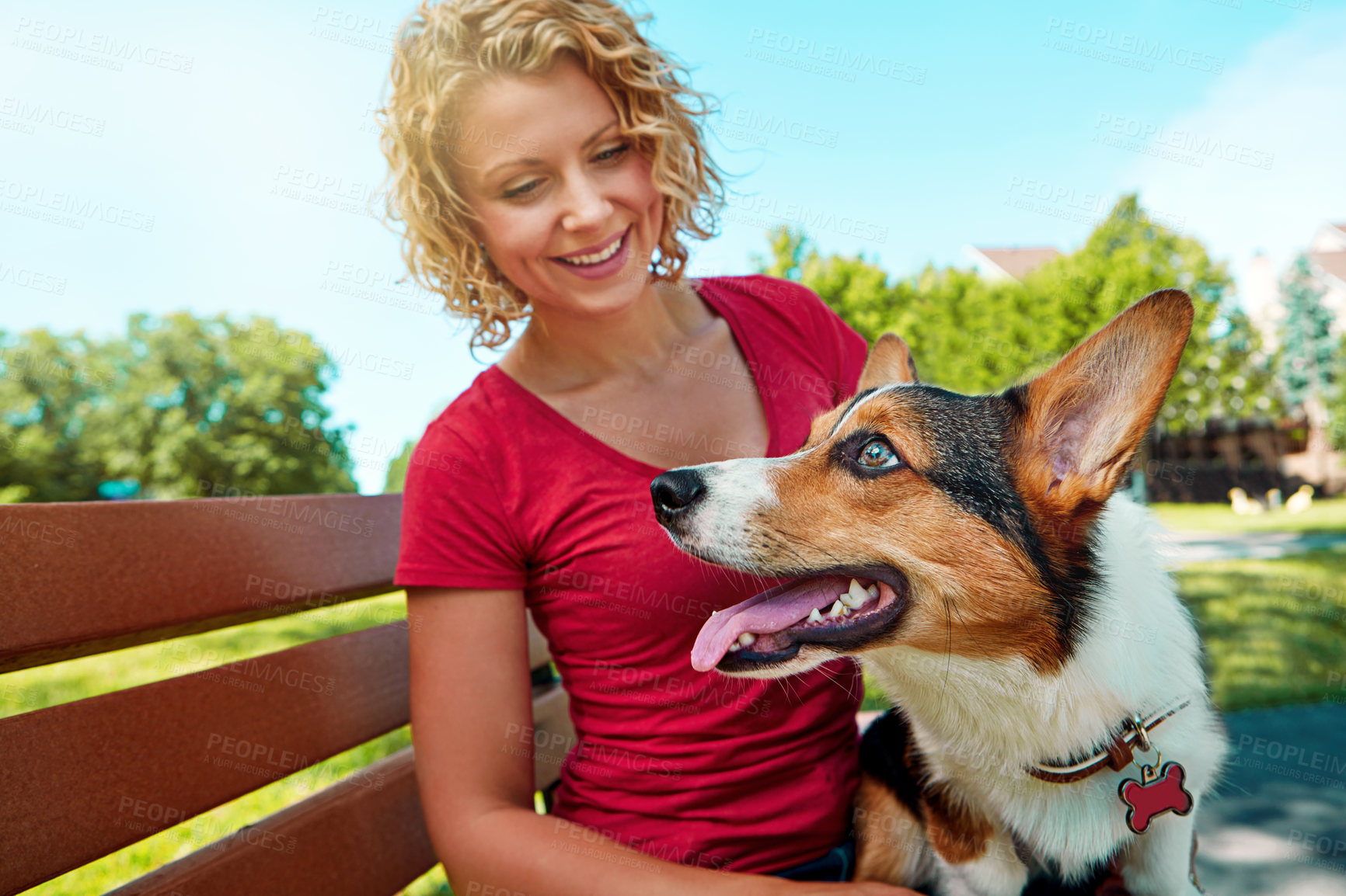 Buy stock photo Shot of a young woman bonding with her dog in the park