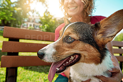 Buy stock photo Shot of a young woman bonding with her dog in the park