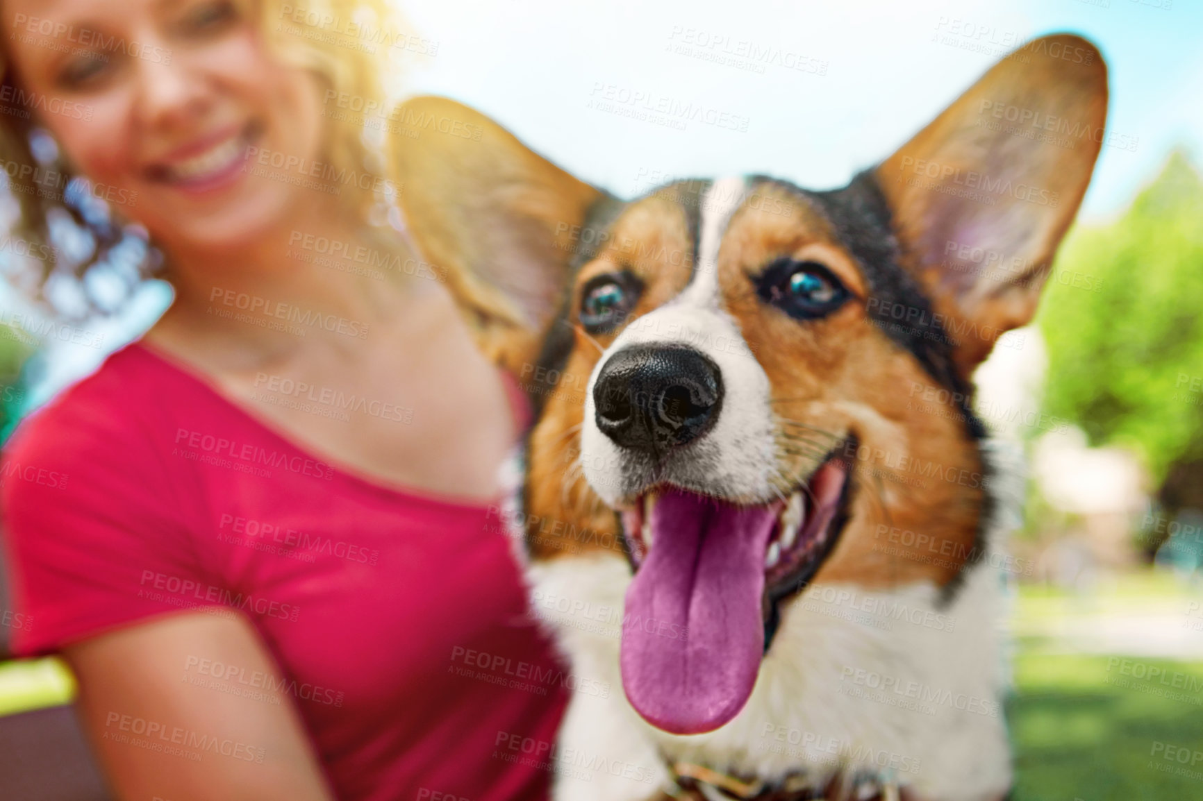 Buy stock photo Shot of a young woman bonding with her dog in the park