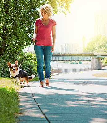 Buy stock photo Shot of an attractive young woman walking her dog in the park