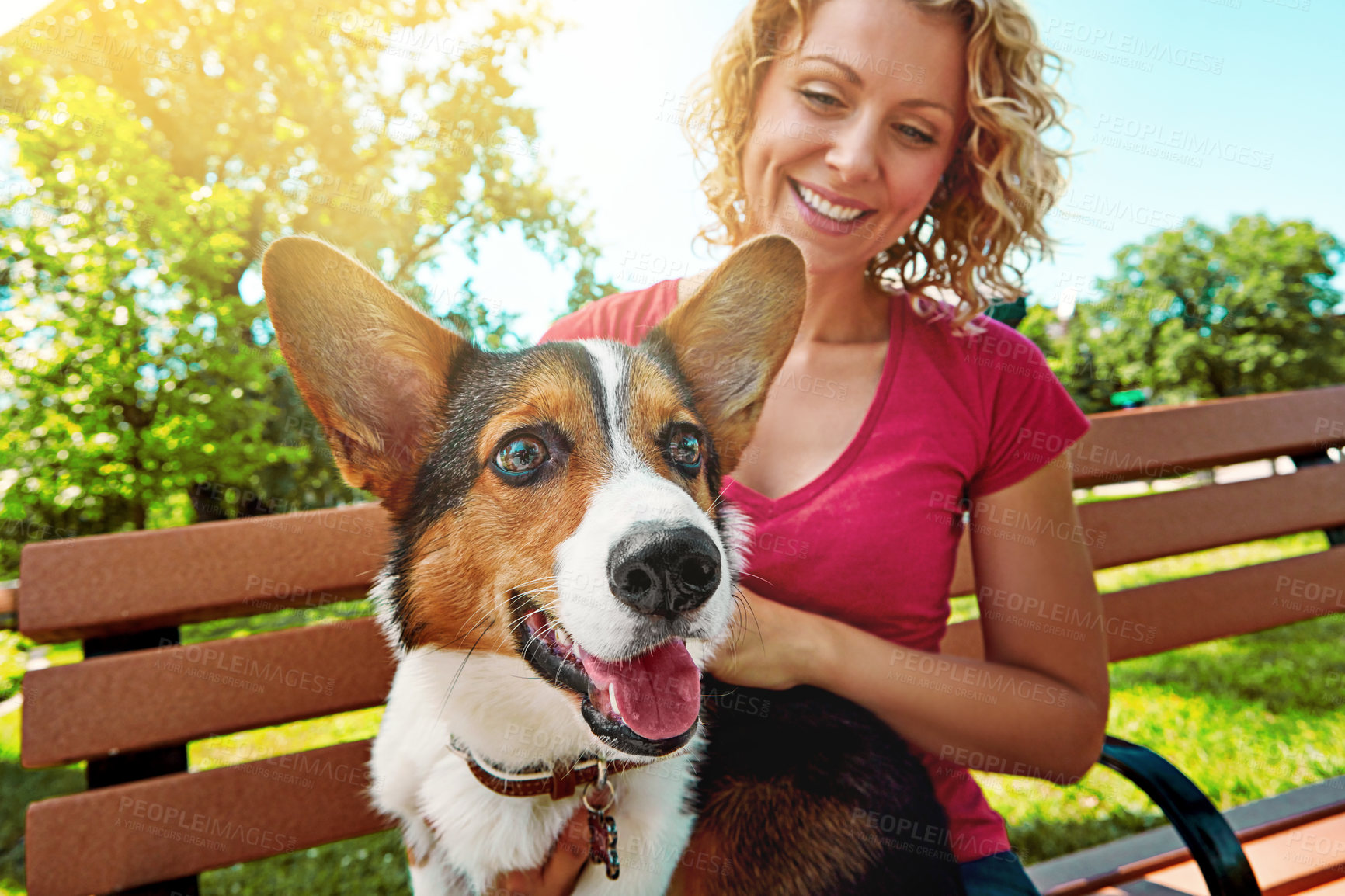 Buy stock photo Shot of a young woman bonding with her dog in the park