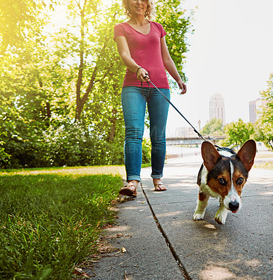 Buy stock photo Shot of an attractive young woman walking her dog in the park