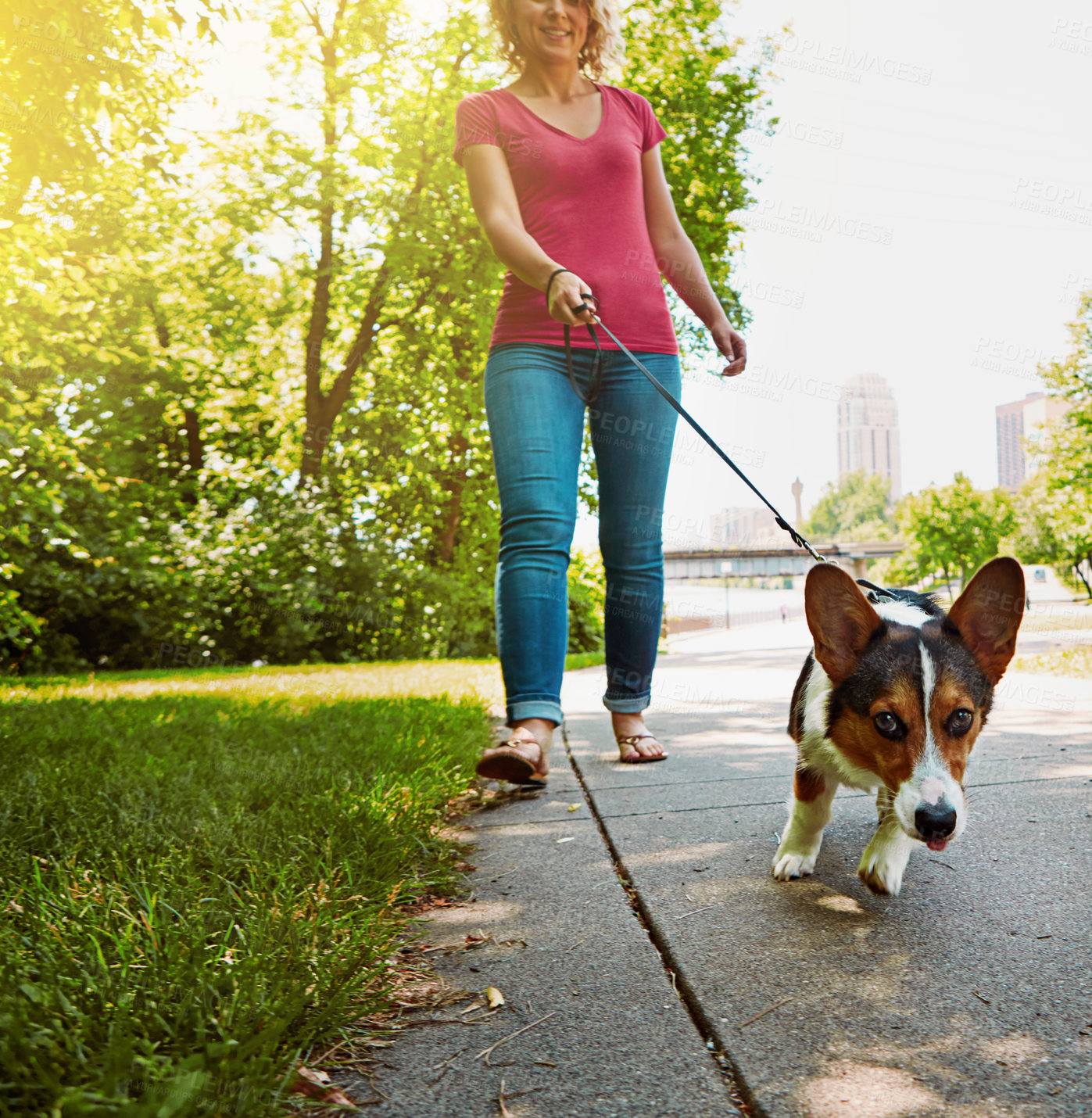 Buy stock photo Shot of an attractive young woman walking her dog in the park