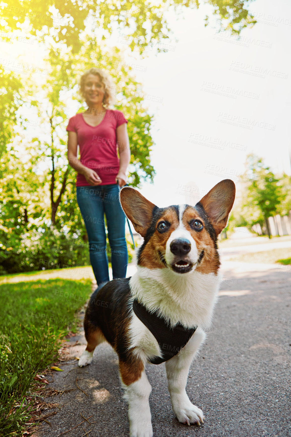 Buy stock photo Shot of an attractive young woman walking her dog in the park