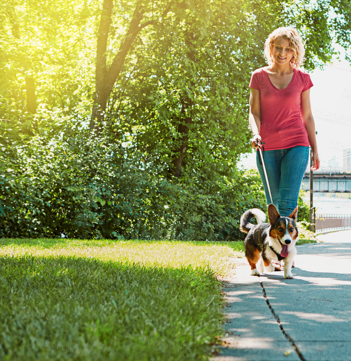 Buy stock photo Shot of an attractive young woman walking her dog in the park