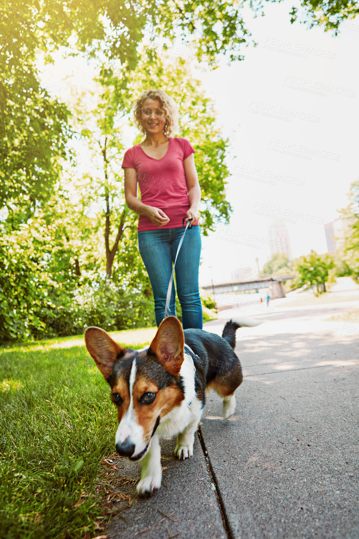 Buy stock photo Shot of an attractive young woman walking her dog in the park