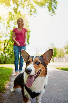 Buy stock photo Shot of an attractive young woman walking her dog in the park