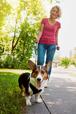 Buy stock photo Shot of an attractive young woman walking her dog in the park