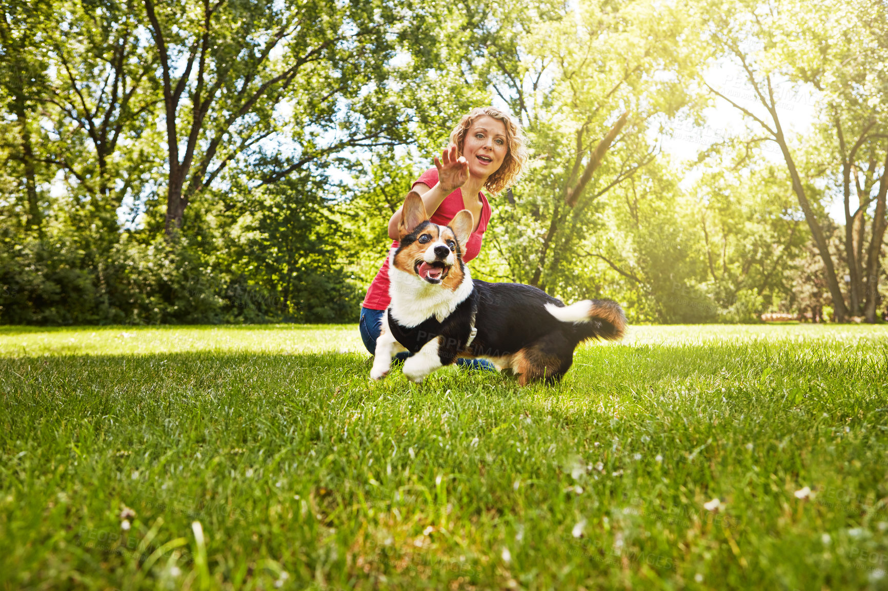 Buy stock photo Shot of a young woman bonding with her dog in the park