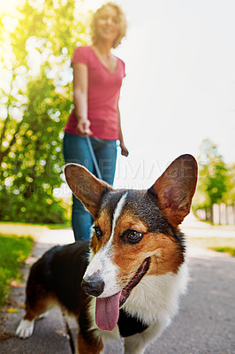 Buy stock photo Shot of an attractive young woman walking her dog in the park