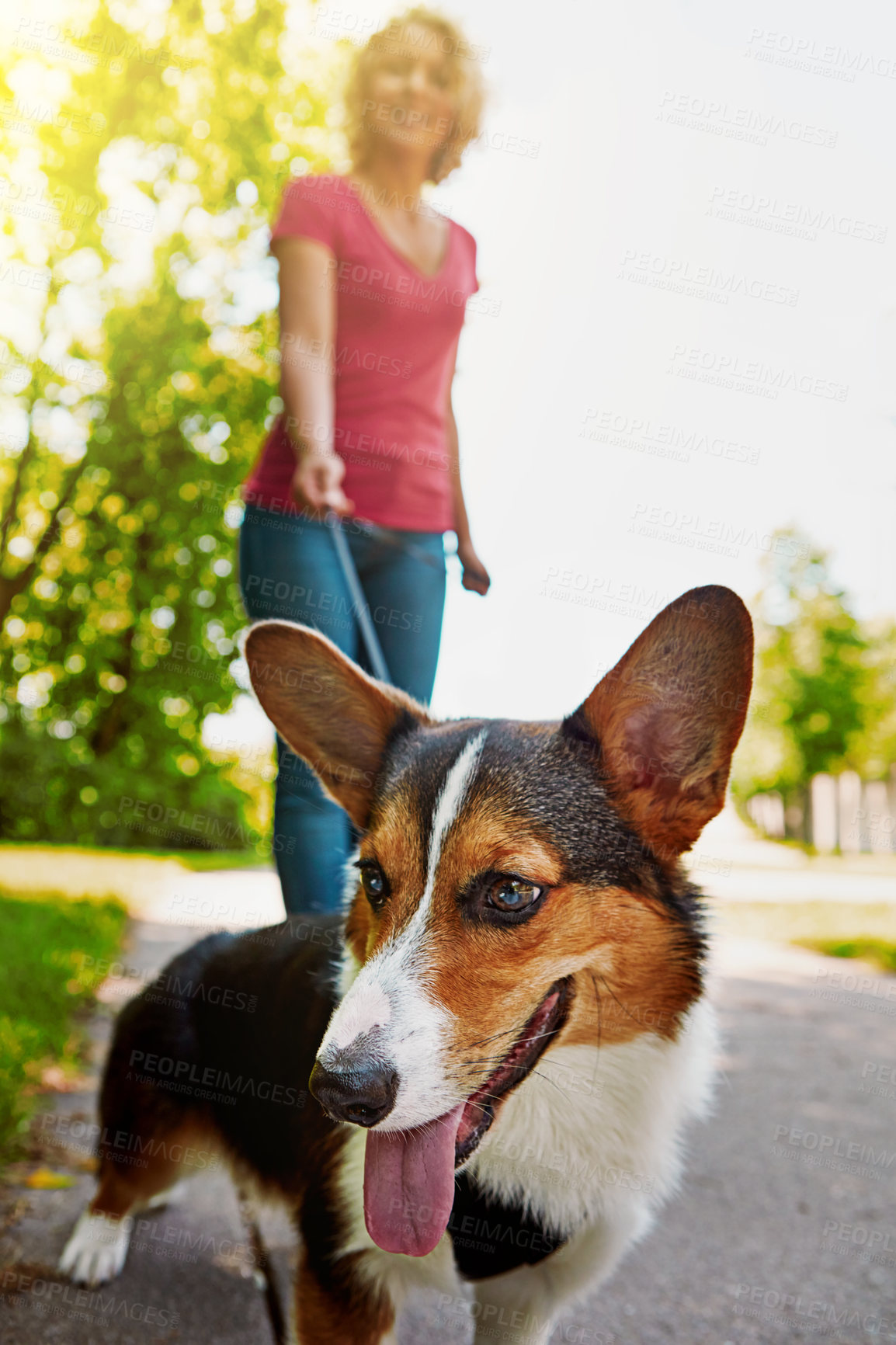 Buy stock photo Shot of an attractive young woman walking her dog in the park