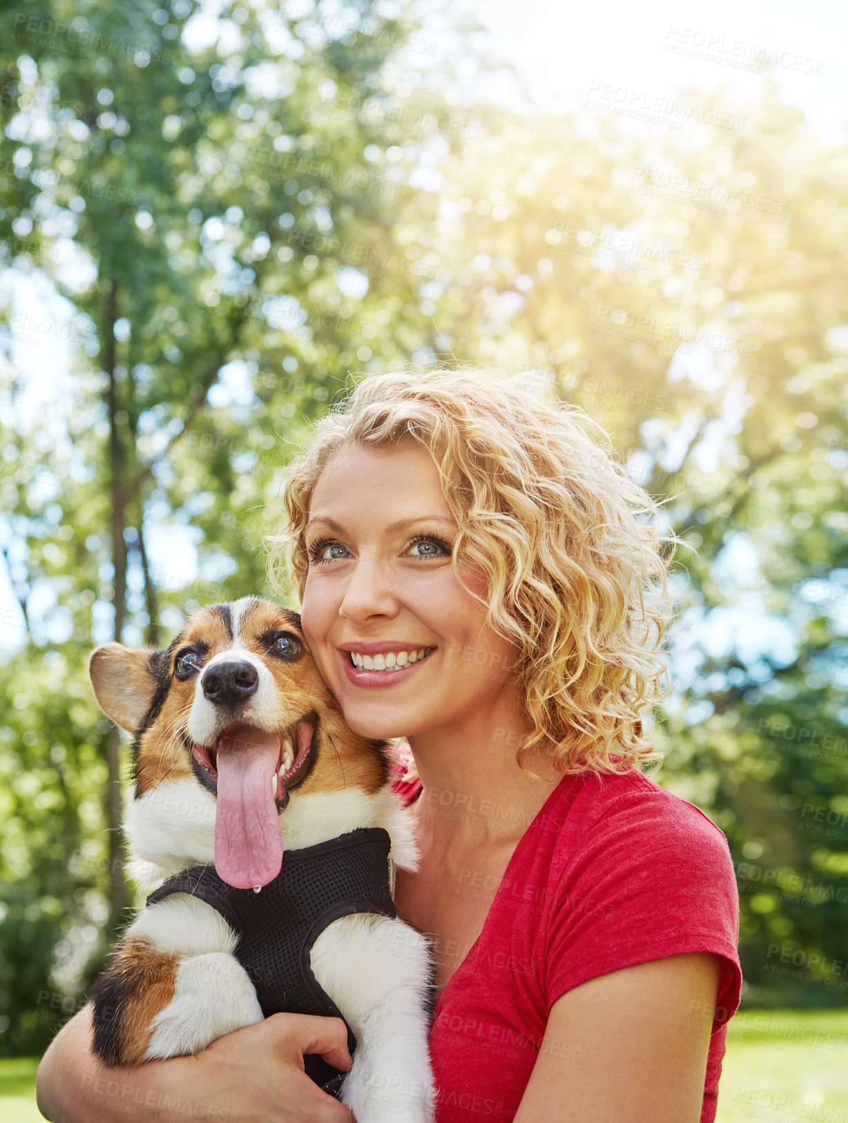 Buy stock photo Shot of a young woman bonding with her dog in the park