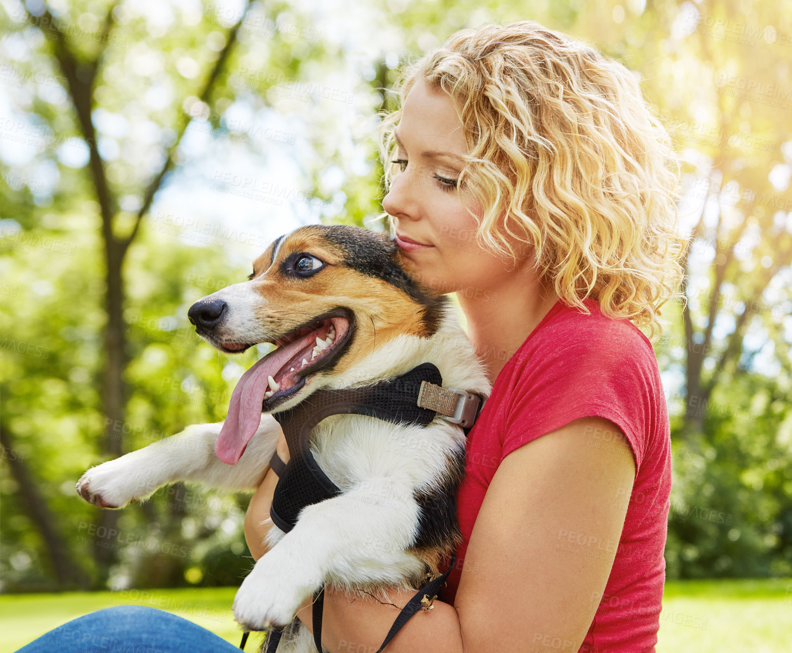 Buy stock photo Shot of a young woman bonding with her dog in the park