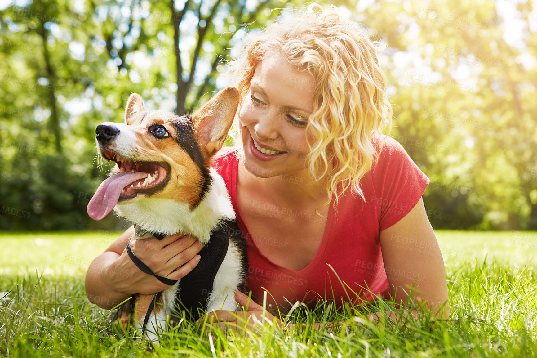 Buy stock photo Shot of a young woman bonding with her dog in the park