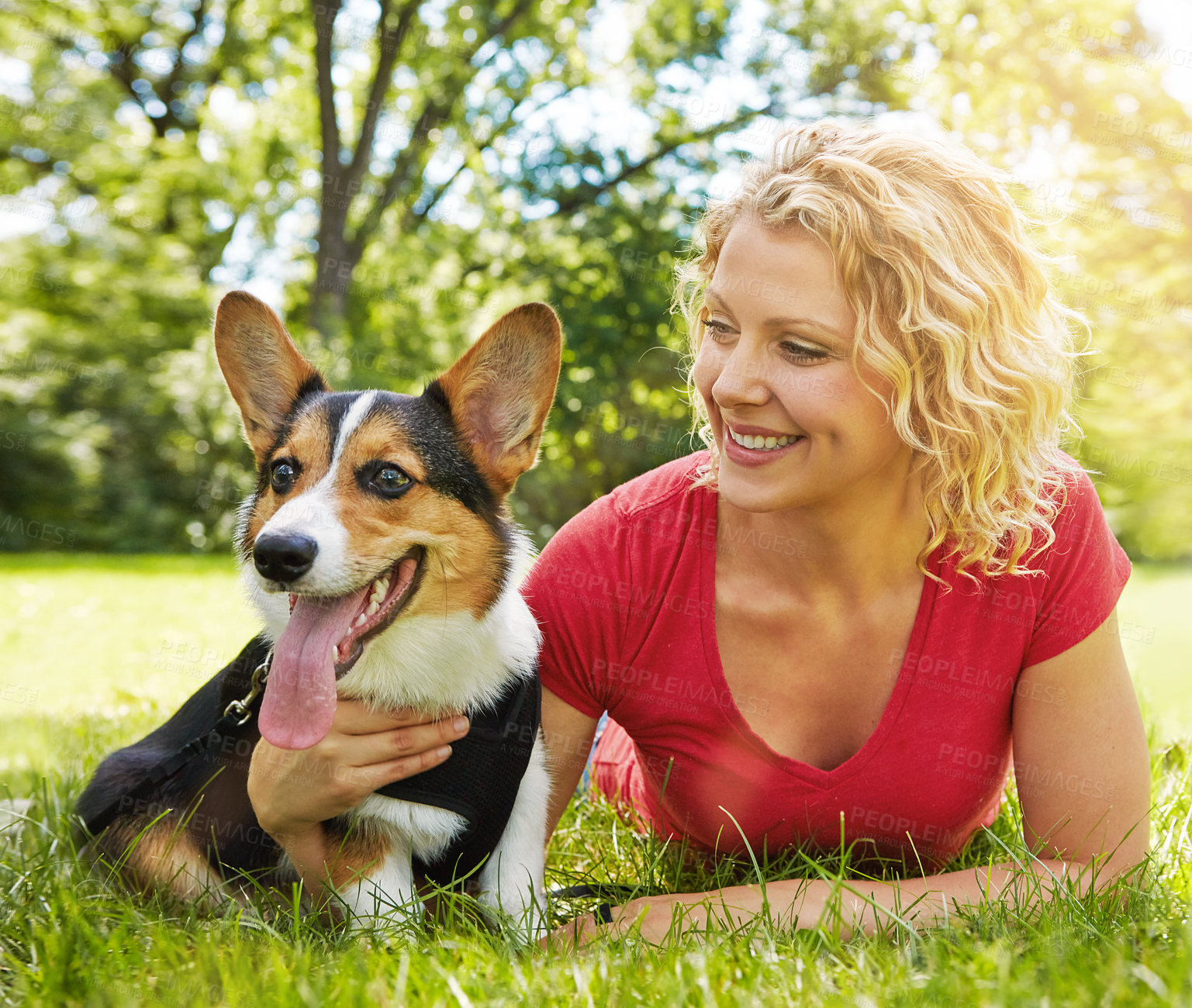 Buy stock photo Shot of a young woman bonding with her dog in the park