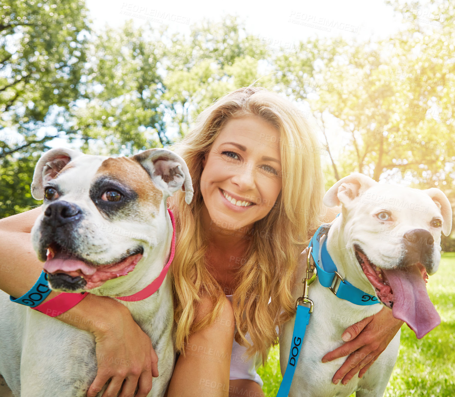 Buy stock photo Shot of a young woman bonding with her dog in the park