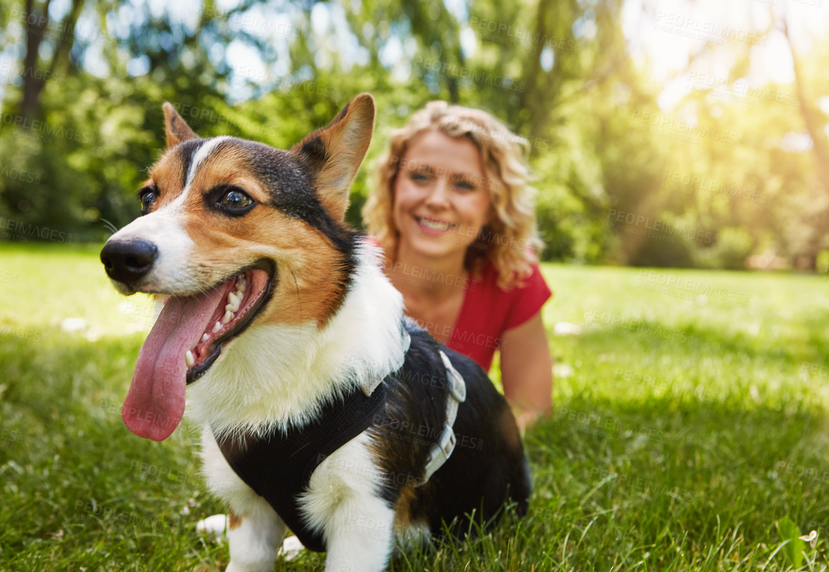 Buy stock photo Shot of a young woman bonding with her dog in the park