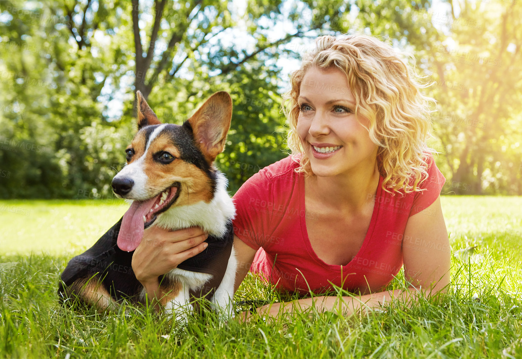 Buy stock photo Shot of a young woman bonding with her dog in the park