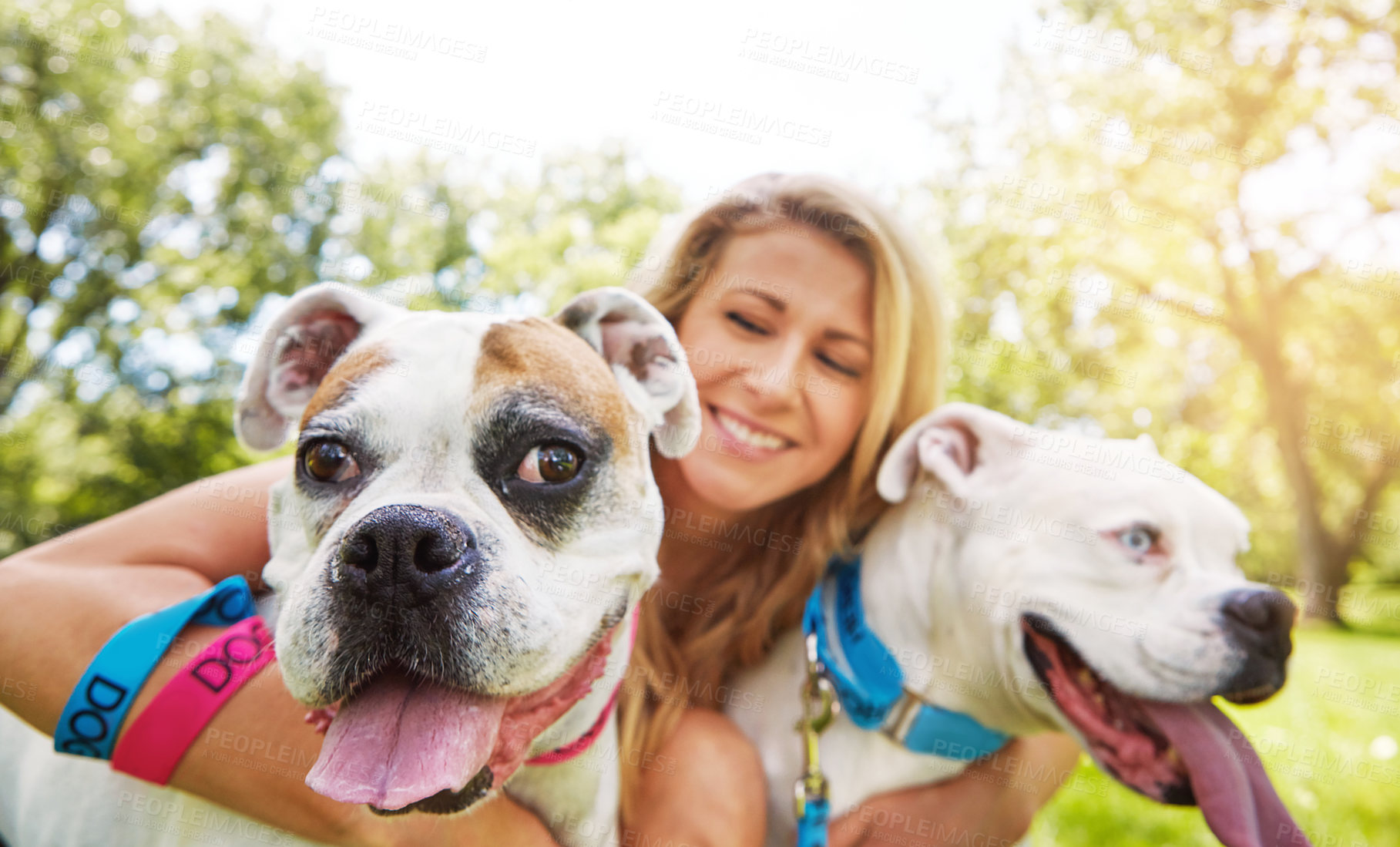 Buy stock photo Shot of a young woman with her two dogs at the park