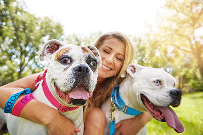 Buy stock photo Shot of a young woman with her two dogs at the park