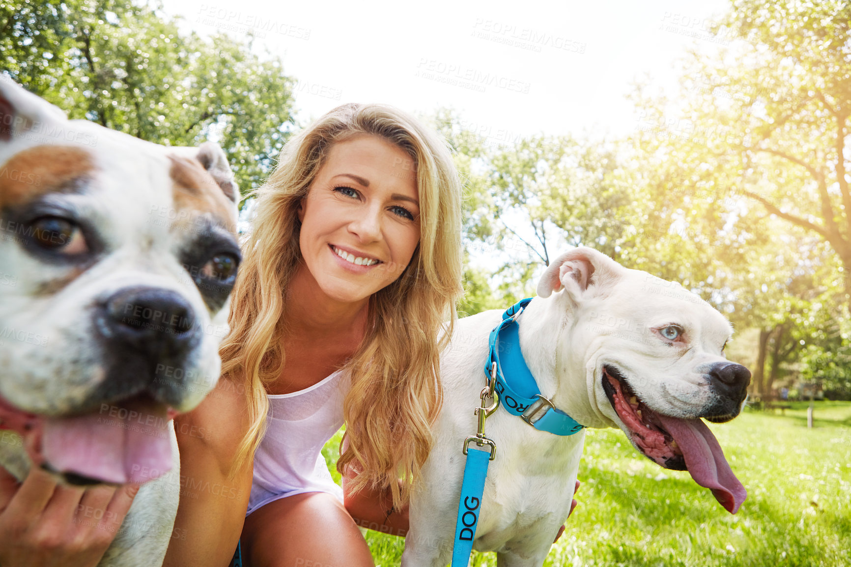 Buy stock photo Shot of a young woman with her two dogs at the park