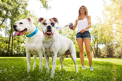 Buy stock photo Shot of a young woman with her two dogs at the park