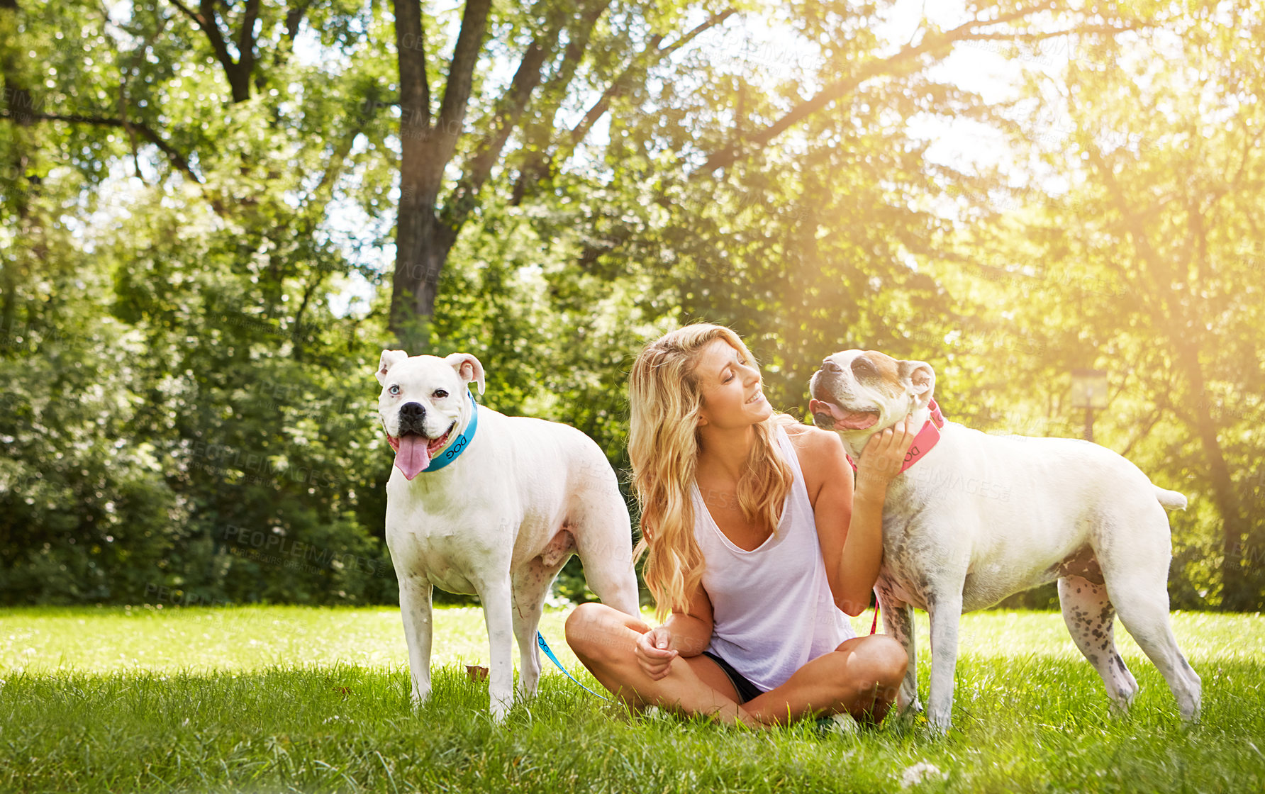 Buy stock photo Shot of a young woman with her two dogs at the park