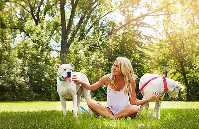 Buy stock photo Shot of a young woman with her two dogs at the park