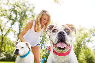 Buy stock photo Shot of a young woman with her two dogs at the park